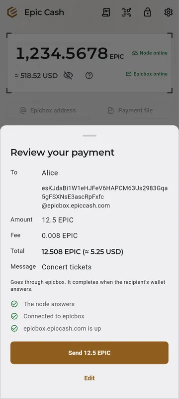 Review your payment: 12.5 EPIC to Alice, the fee and total, and three checks passed before sending.